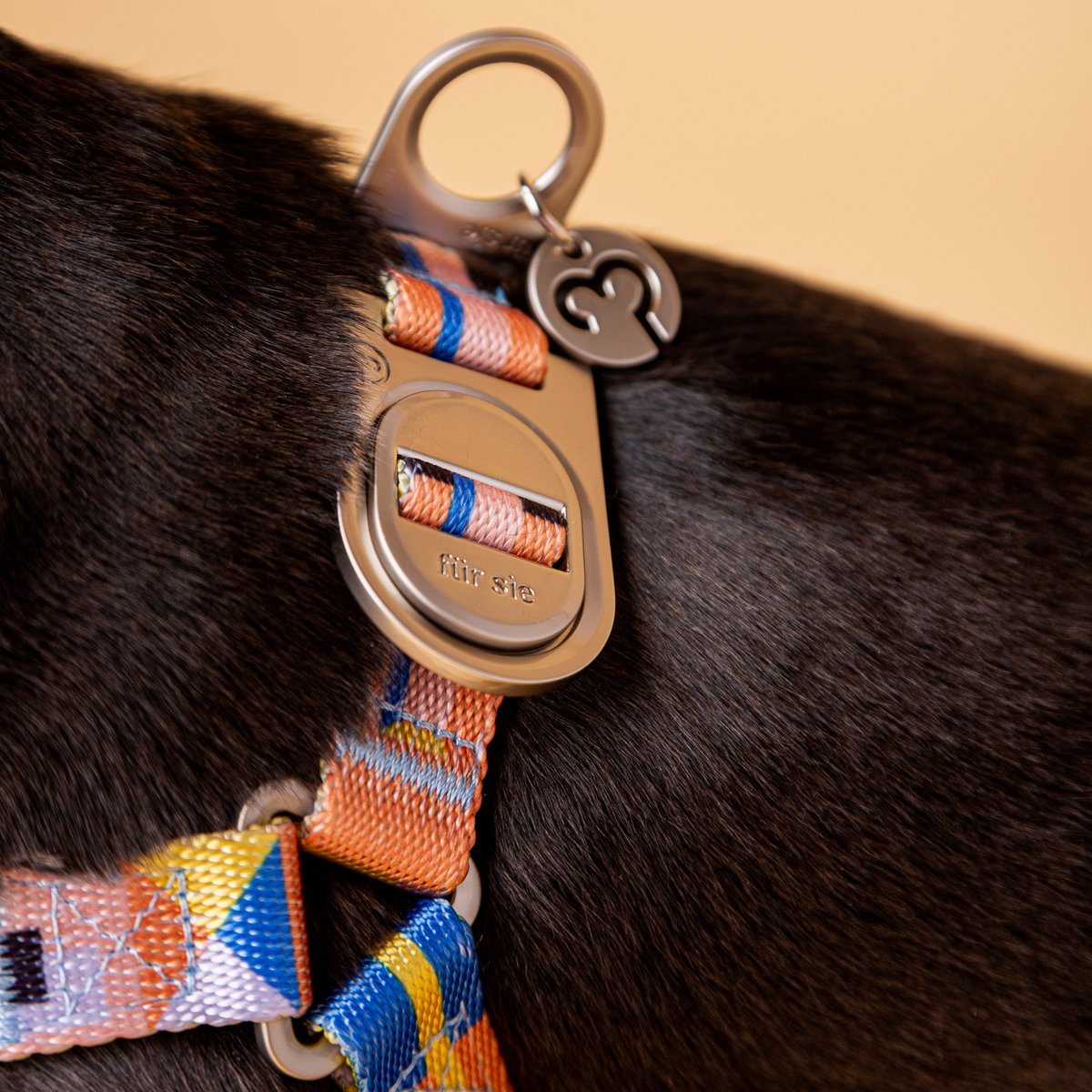 Una No-Pull Dog Harness