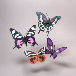 SCHMETTERLINGE ""Elegant""