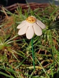 Flor de manzanilla cerámica blanca 3 cm