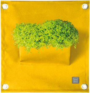 The Green Pockets® AMMA Yellow
