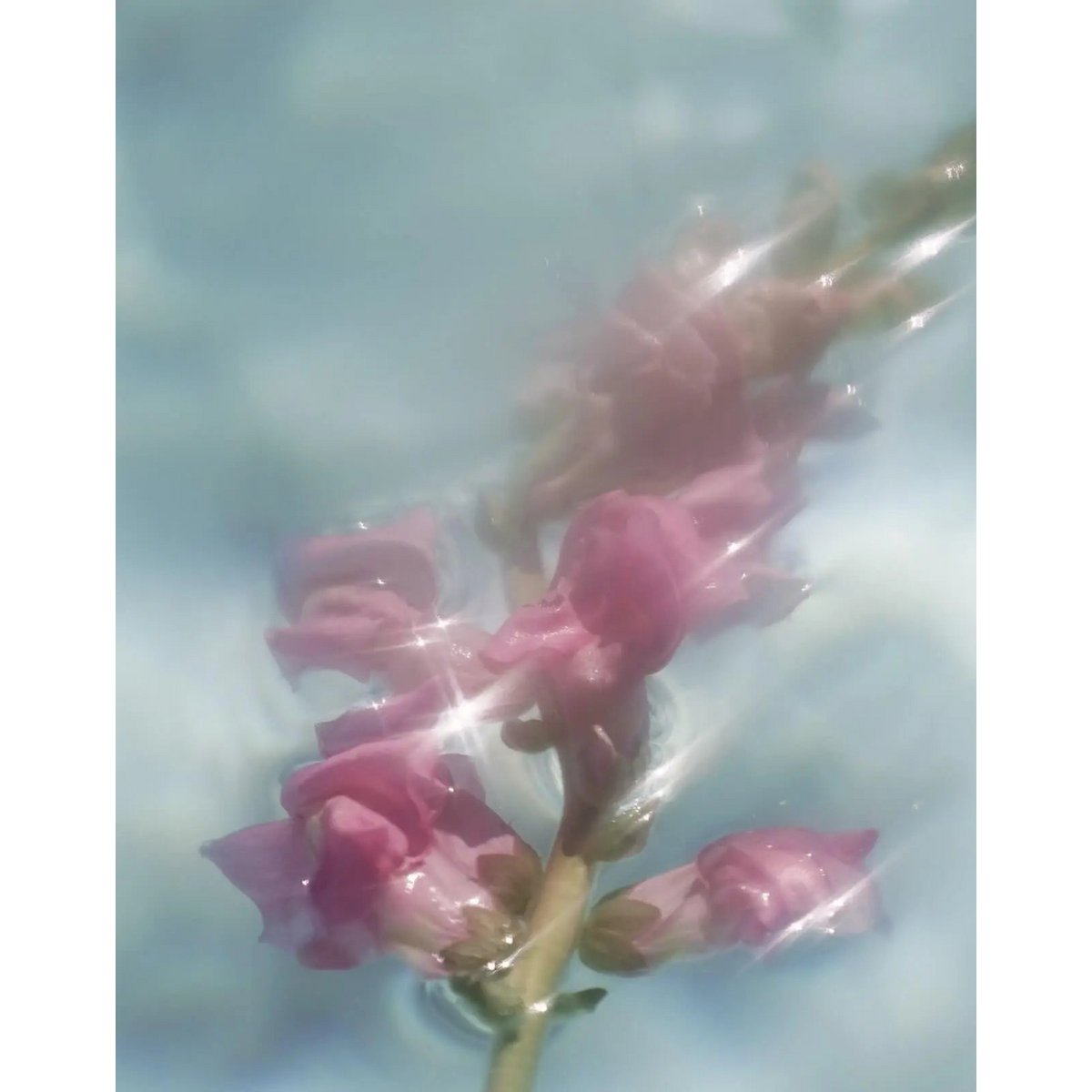 Hydrating Toner - Radiant Revival