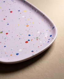 New Party Small Tray - Mix 6 Pieces