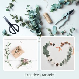 Eucalyptus red