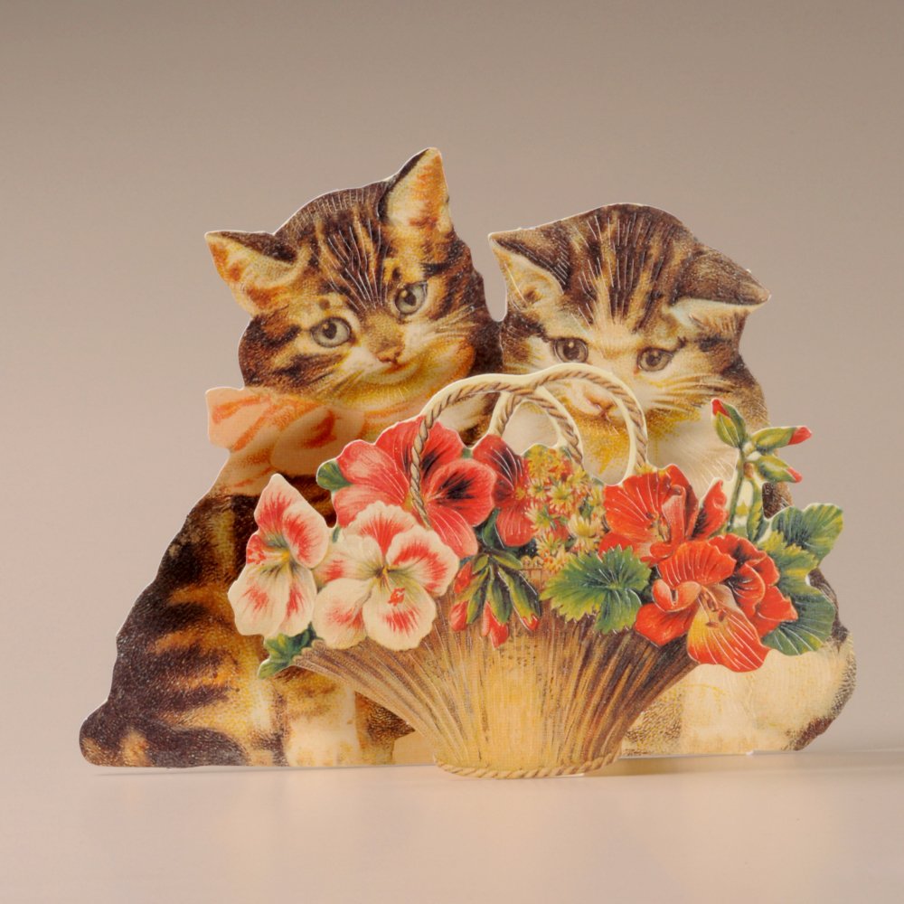 Mamelok TDC97178 Gatos y Flores Tarjeta 3D para Todos los Días