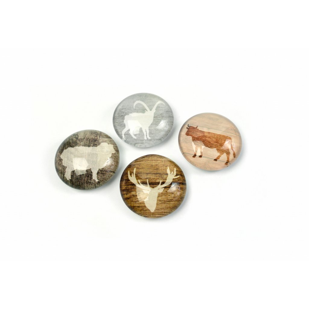 Trendform Magnets Magnet Eye - Alp Life - Set of 4 - Assorti