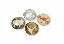 Trendform Magnets Magnet Eye - ALP Life - Sæt på 4 - Assorti