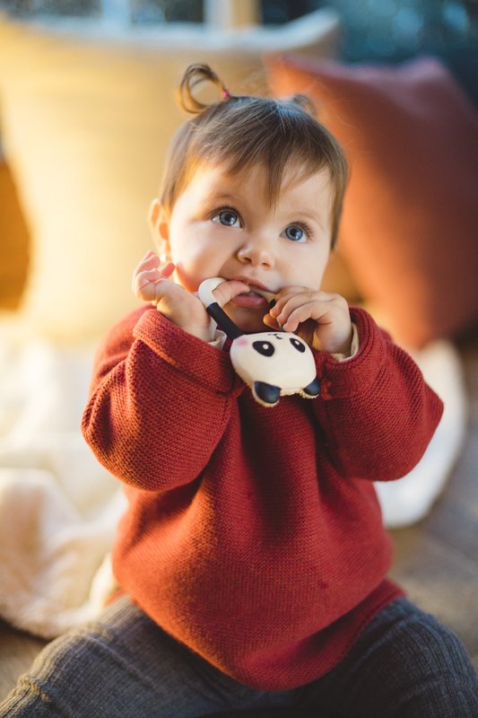 Lanco - Teether Kori the Panda