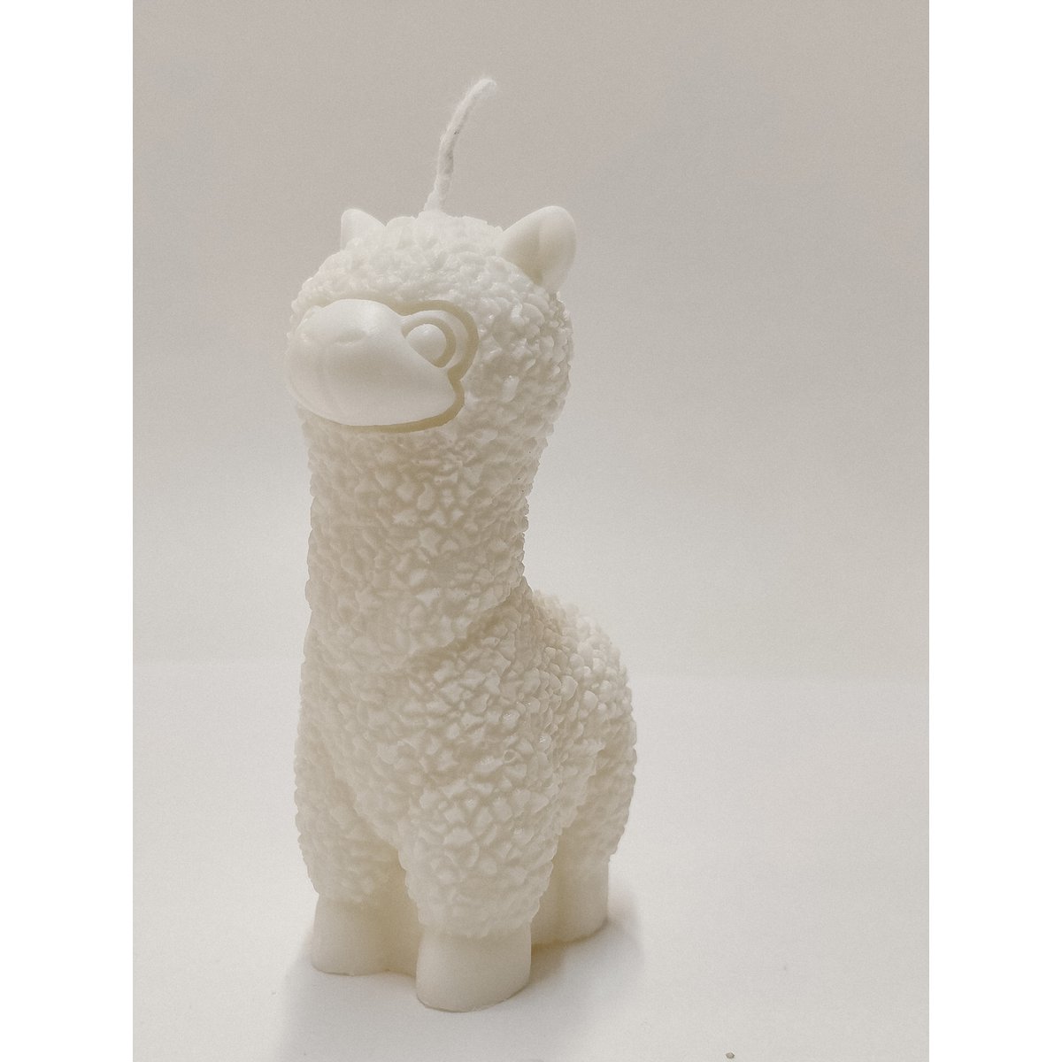 Alpaca candle - Alpaca Candle