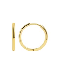 "Galdin", stainless steel hoop earrings Ø 16 mm/ 2 mm gold-colored