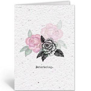 ROSE – STEH AUF