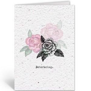 ROSE – STEH AUF