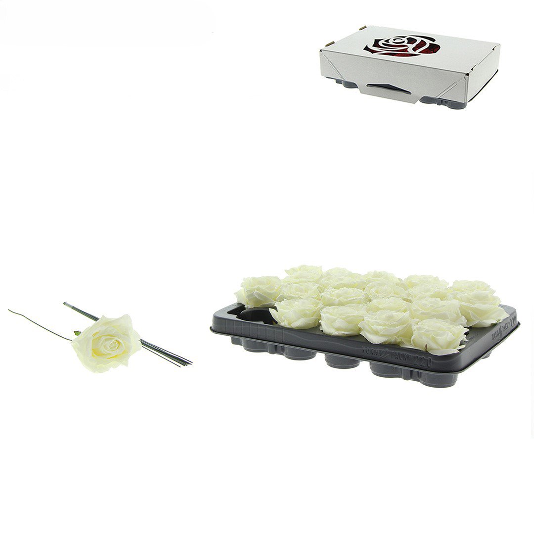 Rose Decooz® Silk - White