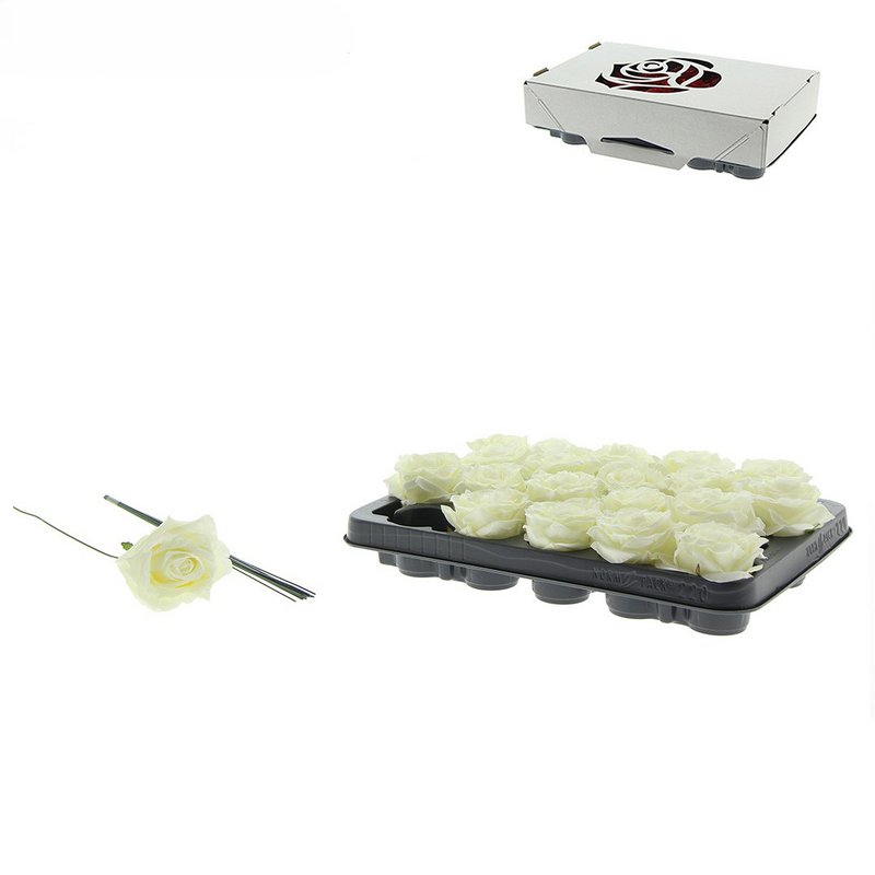 Rose Decooz® Silk - White