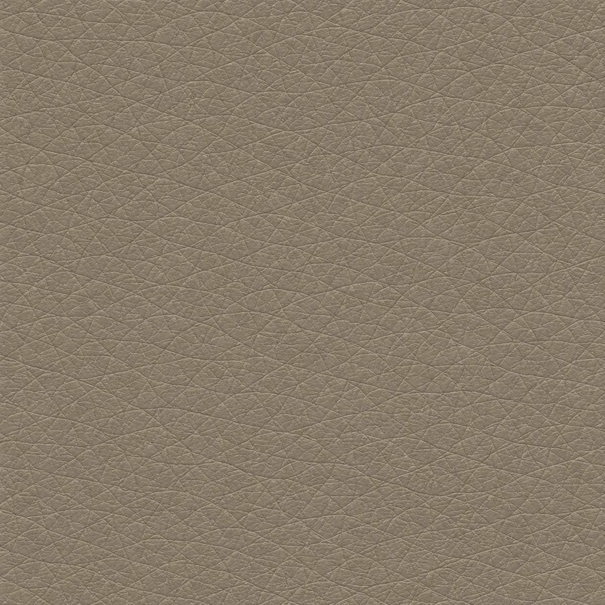 Light Taupe