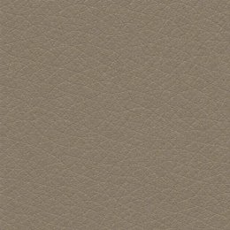 Light Taupe