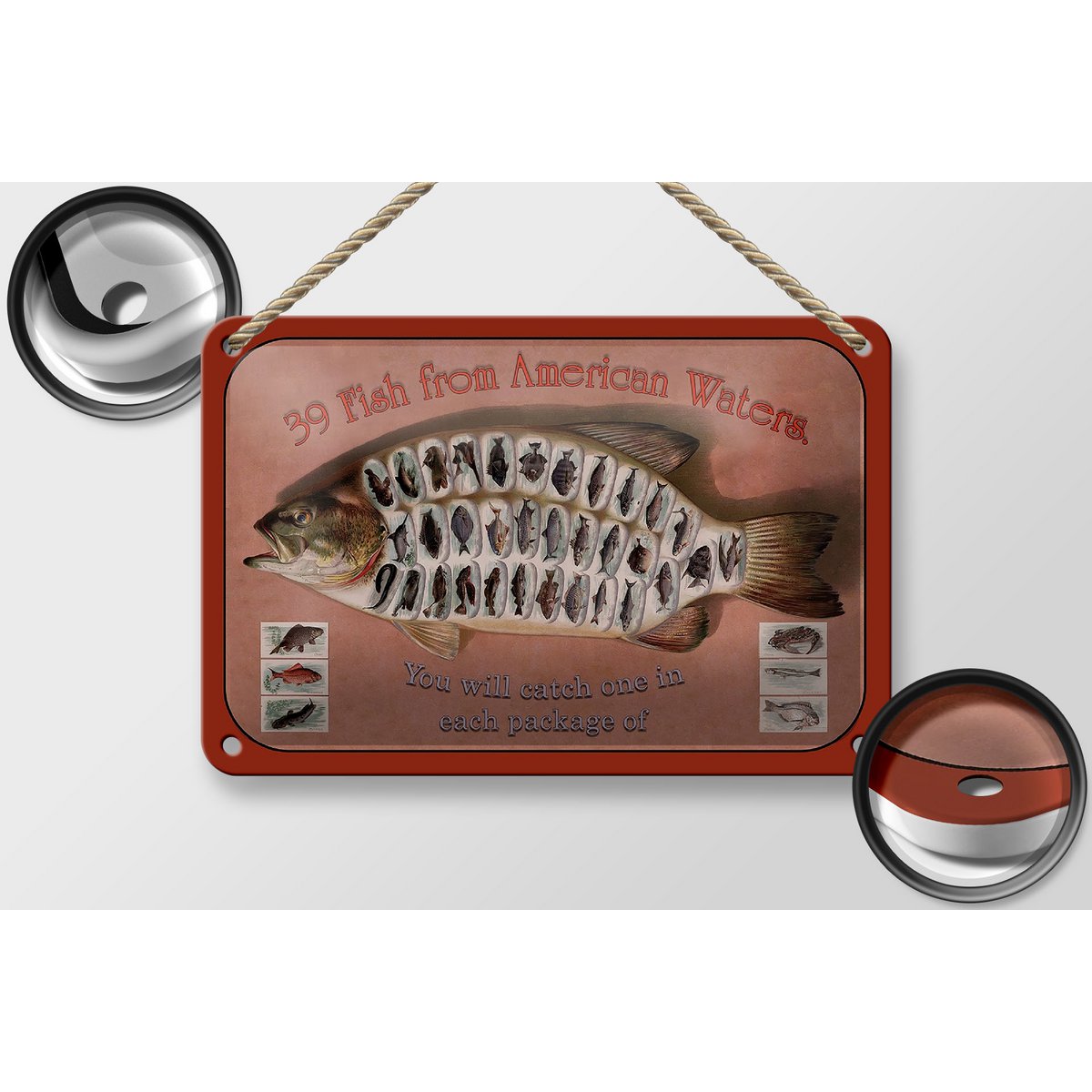 Tin Sign Fish 18x12cm 39 Fish from American Waters Decoration