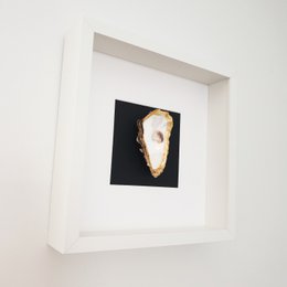 Golden oyster in white frame (inside)