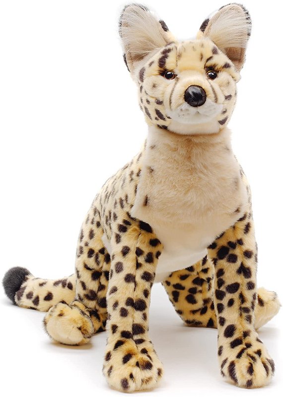 Savannah cat, lying - 60 cm (length)