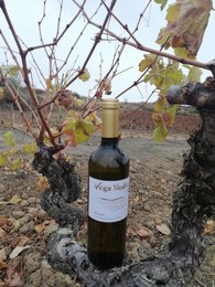 Young white wine D.O.Ca. Rioja Vega Medina
