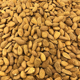 Organic Shelled Almonds in Bulk