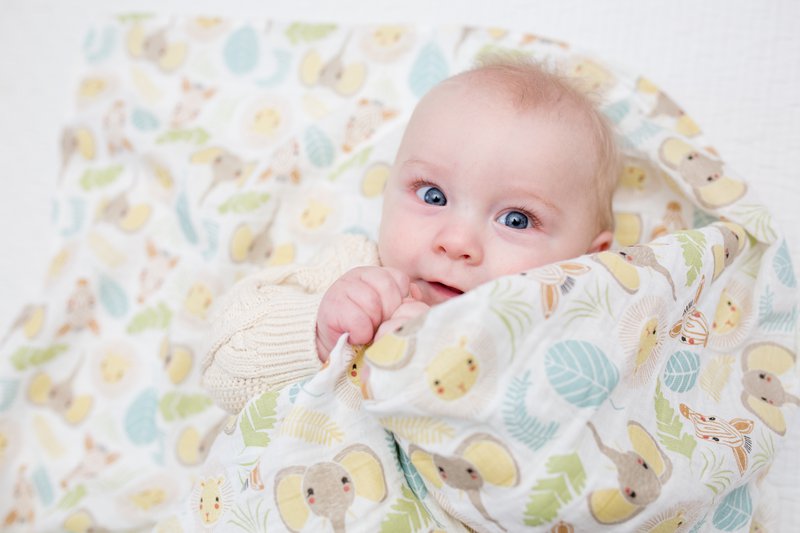 Lulujo swaddle 120x120 - Jungle Safari