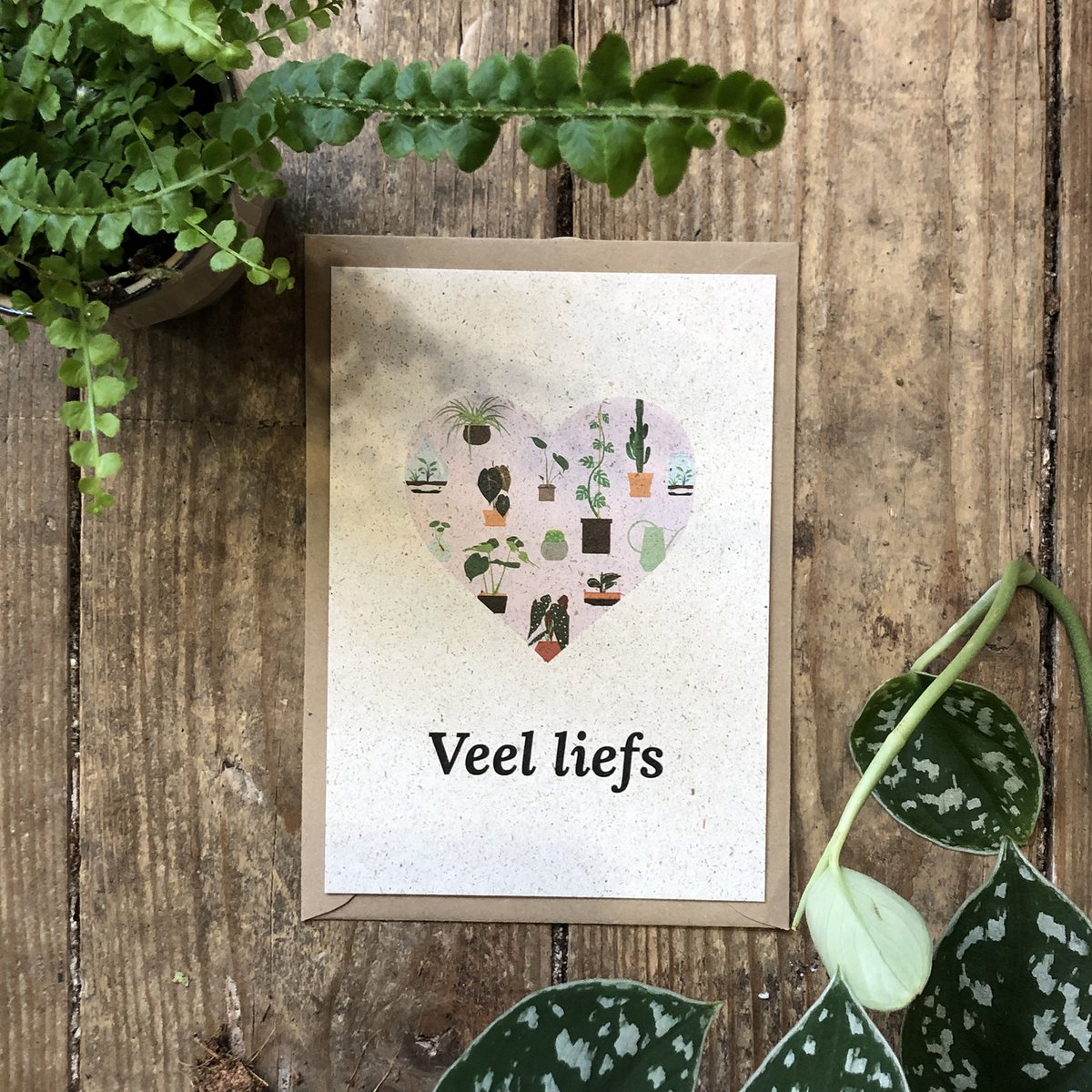 Postcard + Envelope Veel liefs!