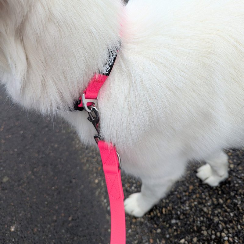 Waterproof multi-position leash Neon pink