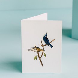 Greeting card with blue and brown birds perched on a branch.