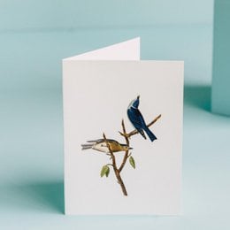 Greeting card with blue and brown birds perched on a branch.