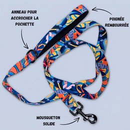 Laisse pour chien Lagon 150cm
