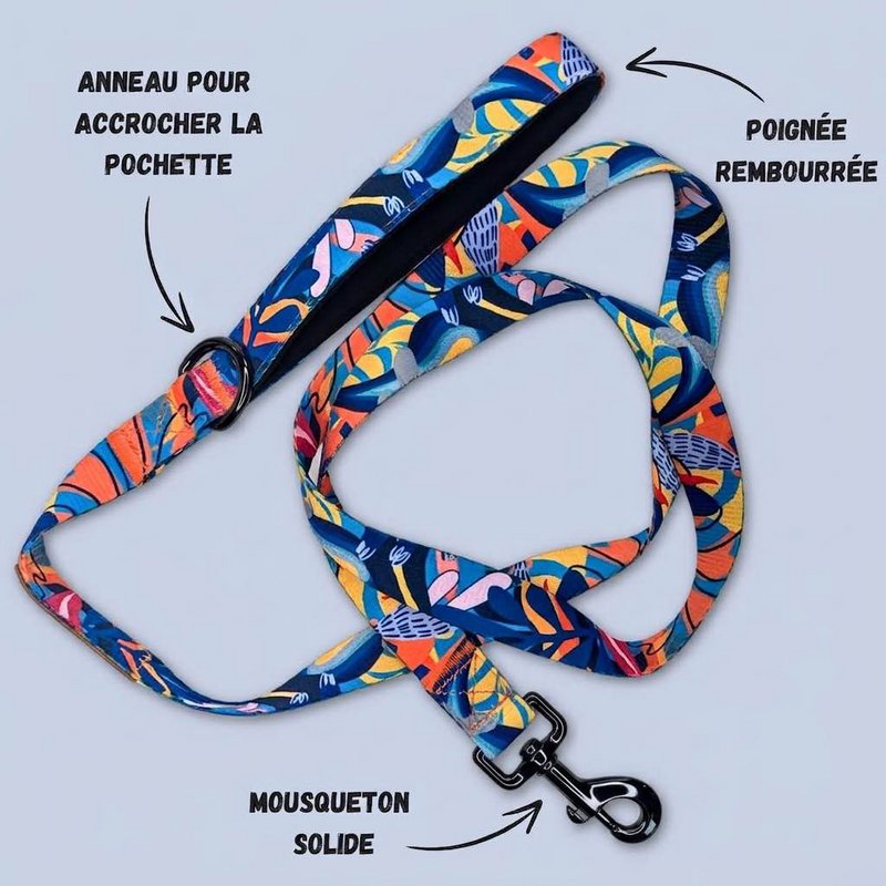 Laisse pour chien Lagon 150cm