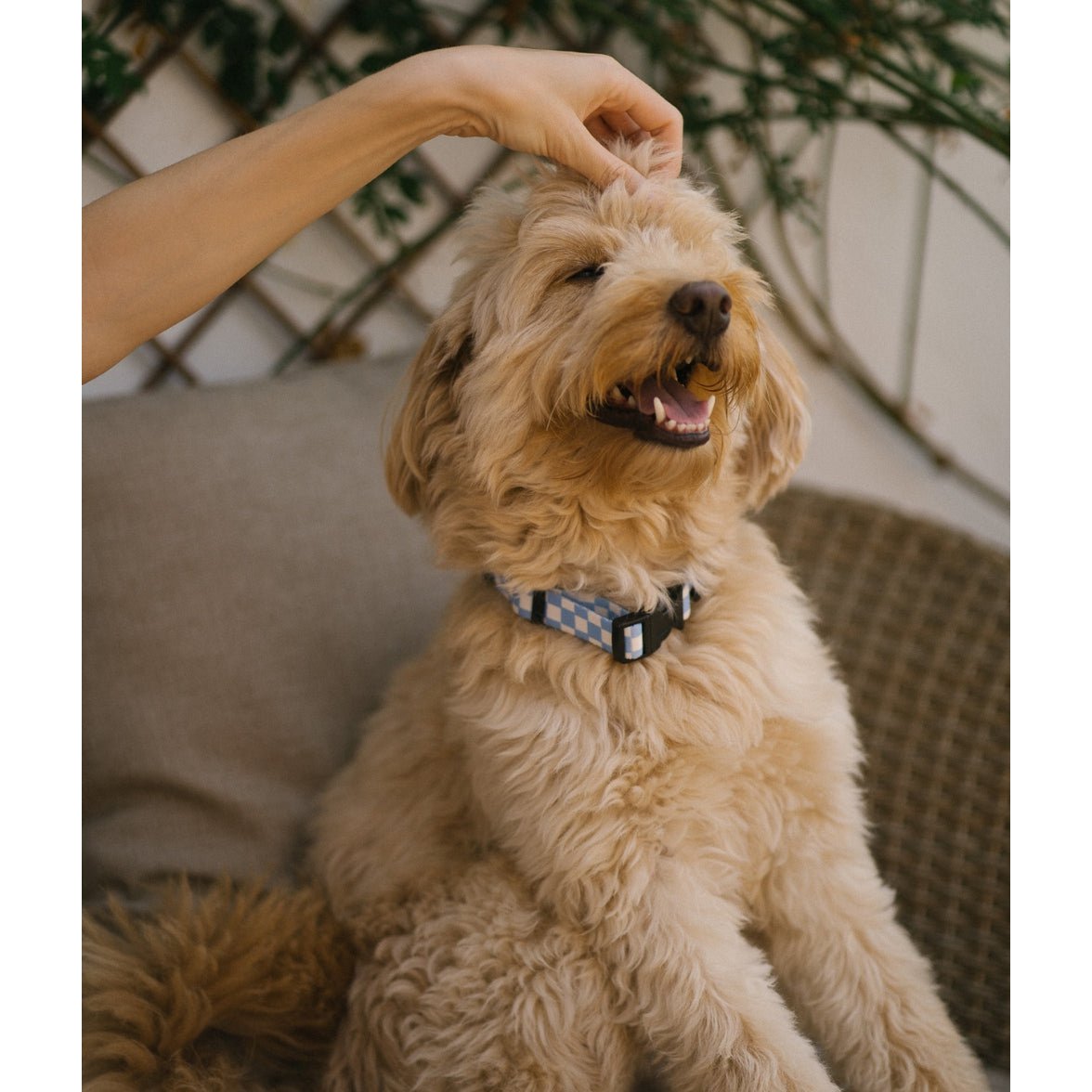 Halskette aus recyceltem PET, blaues Vichy-Design, Juno
