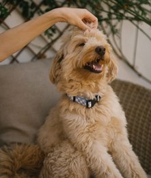 Halskette aus recyceltem PET, blaues Vichy-Design, Juno