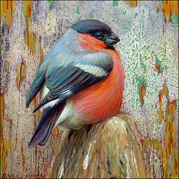 Carpeta de tarjetas - Erik van Ommen, Pájaros