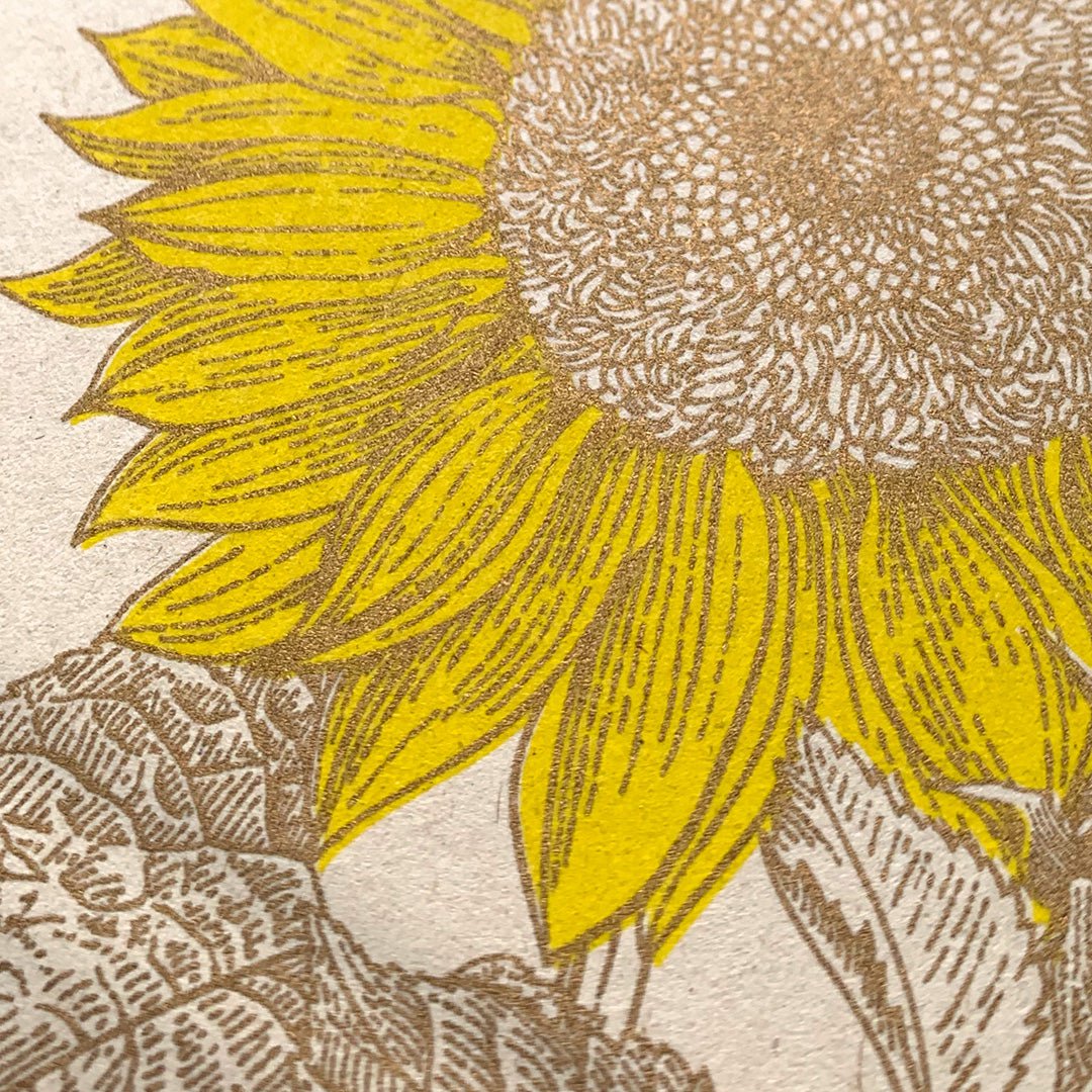 Postcard / sunflower / eco paper