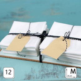 Håndter lommetørklæder Bio White M 3 -serie Tiny Box