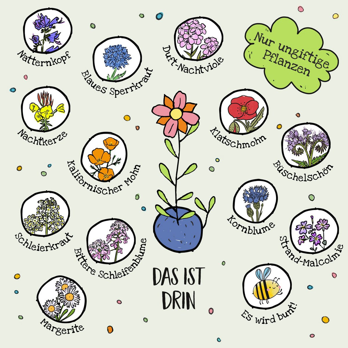 1er Blumenmurmel 'Ellas Schmetterlingswiese'