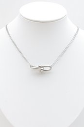 Roestvrij stalen ketting
