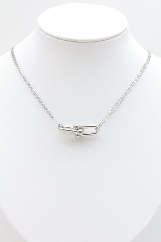 Roestvrij stalen ketting