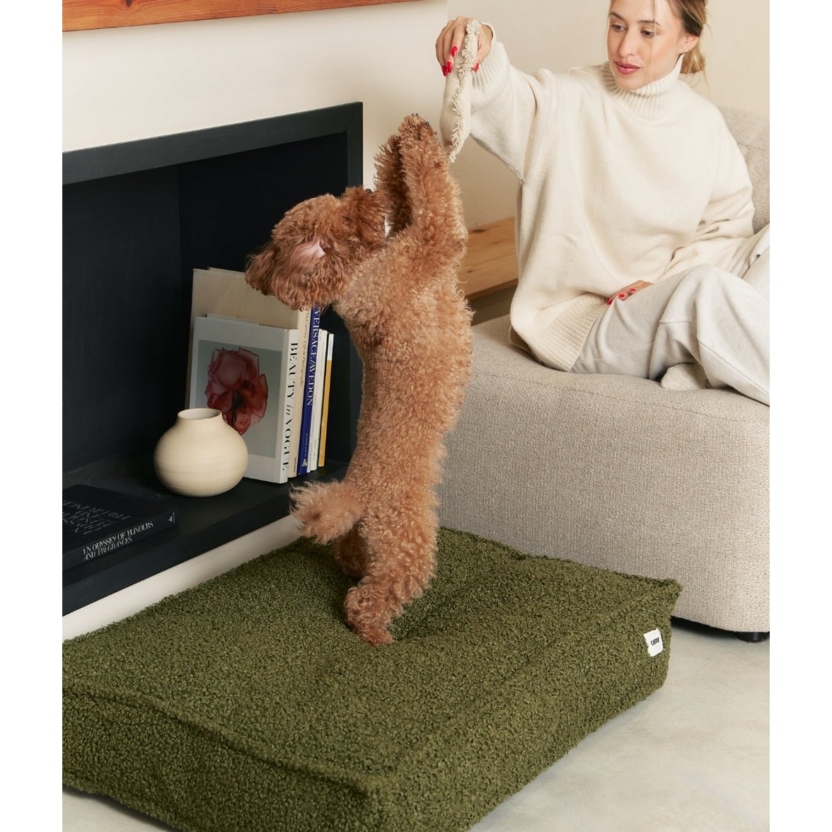 Grünes Schaffell-Hundebett, Cuadra