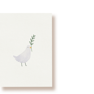 dove | postcard