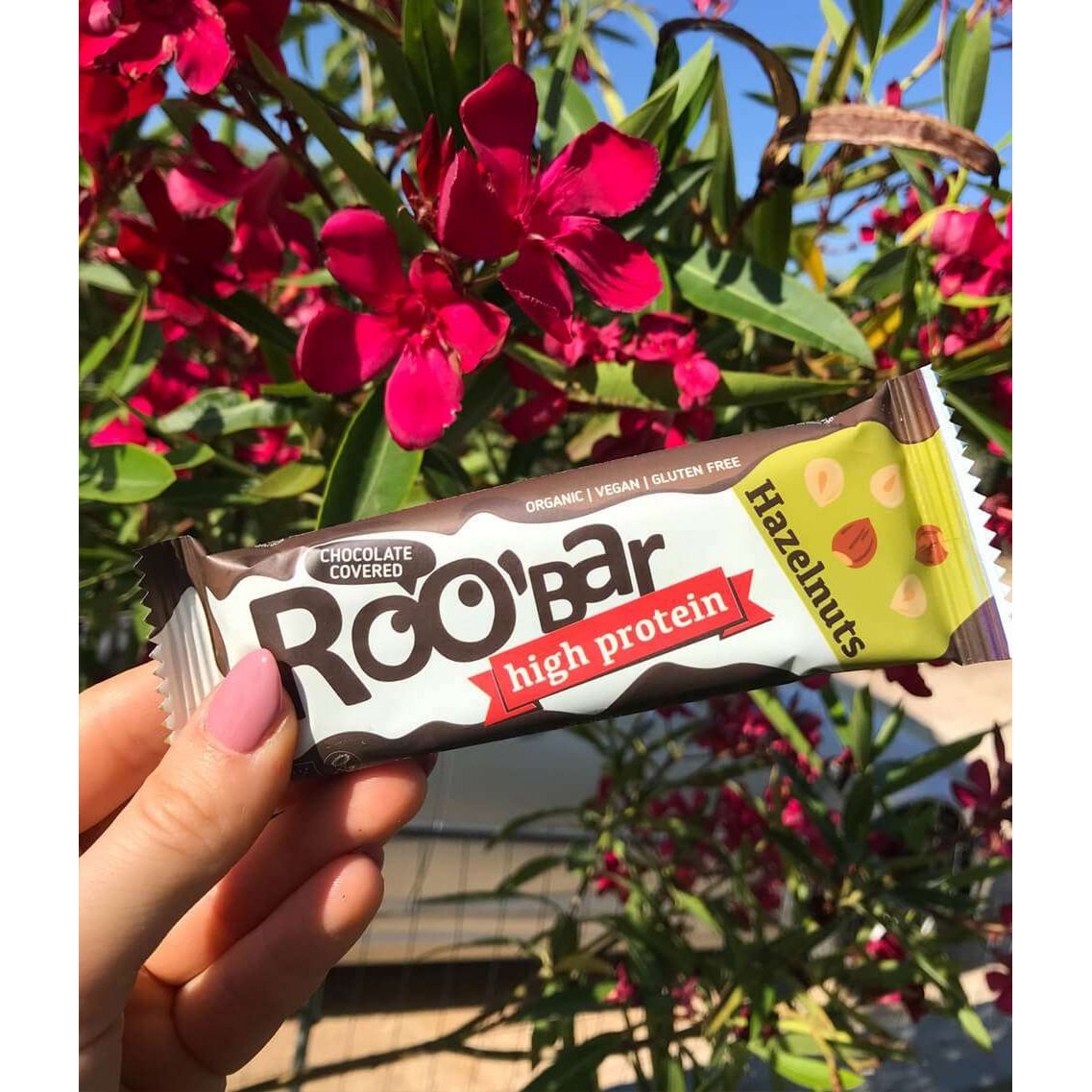 Hazelnut Protein Bar Covered With Chocolate, organic, Roobar, 40g