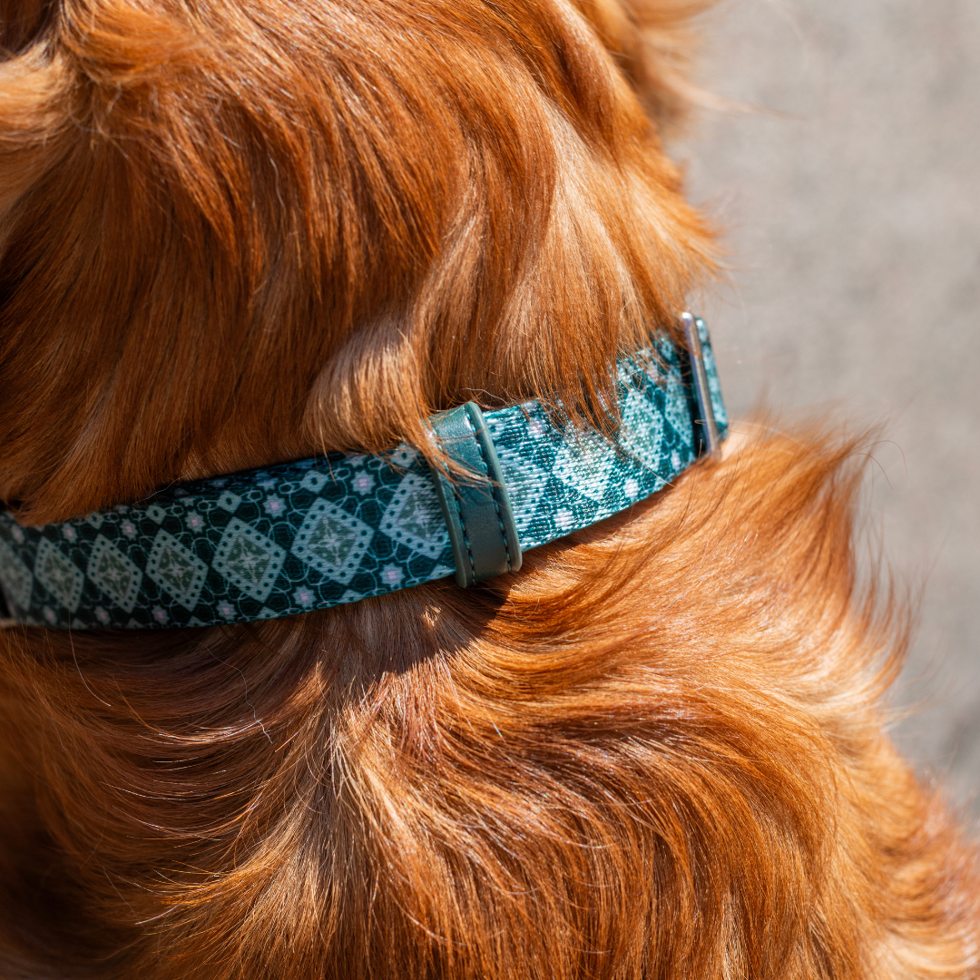 Dog Collar - Forest Gems