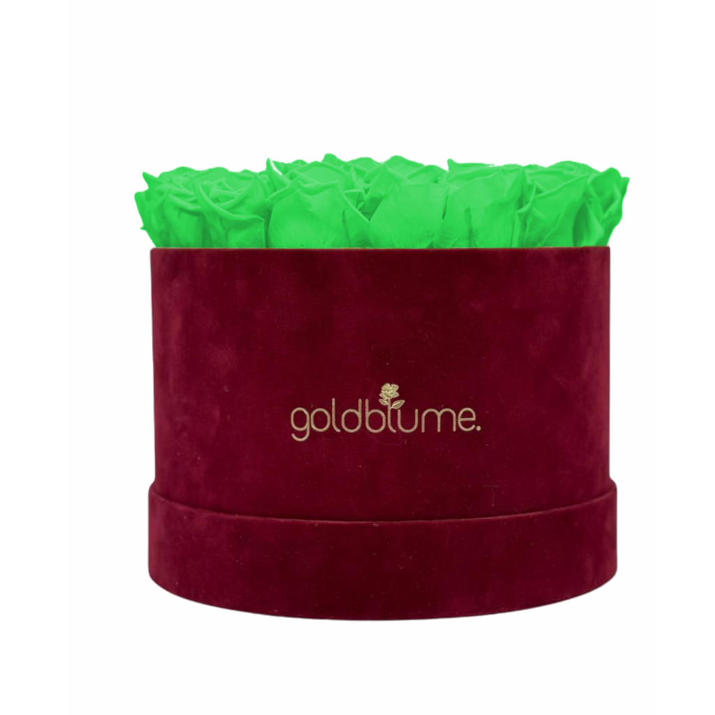 Collection Velours Bordeaux