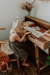 Cijfers om te leren tellen, houten blokken, montessori
