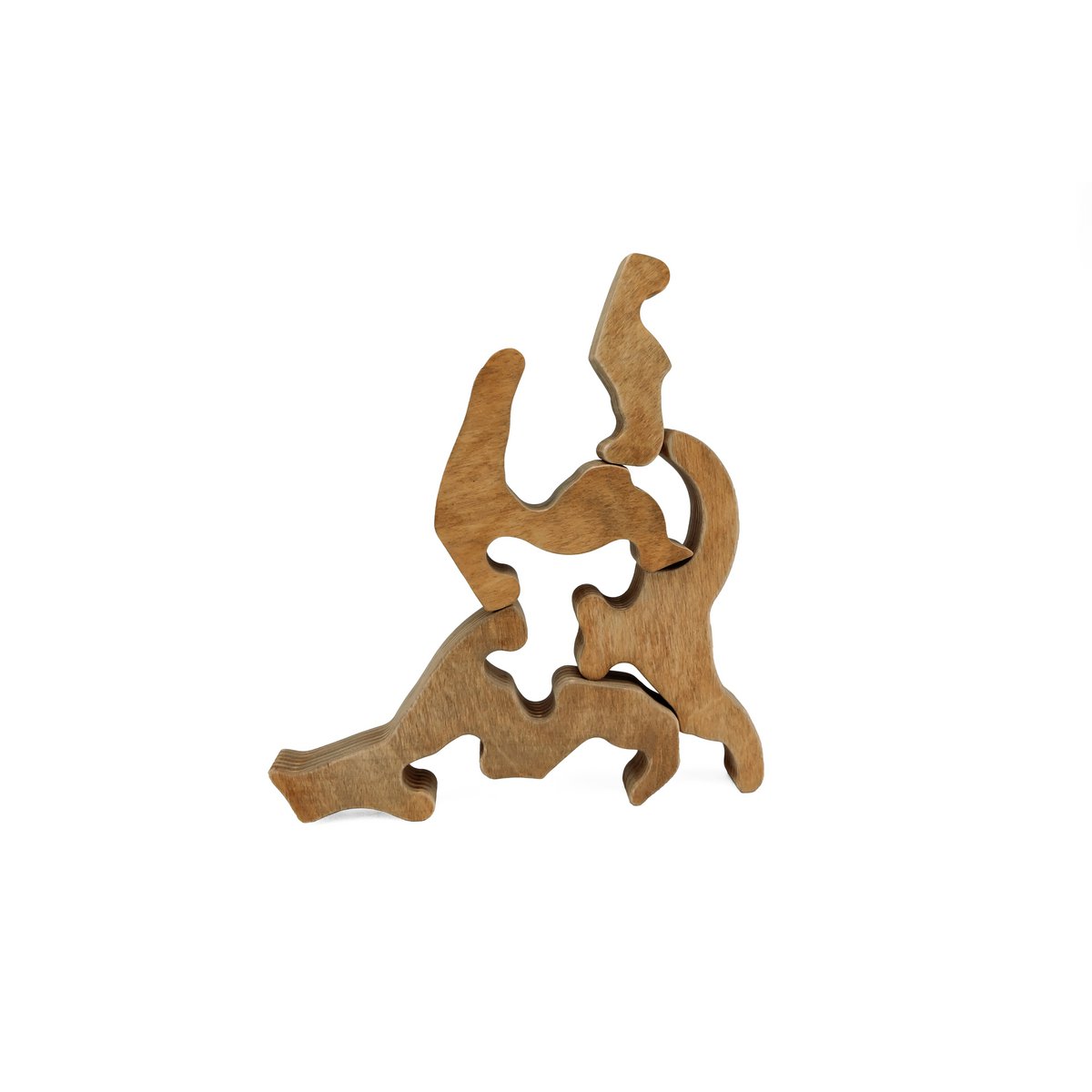 Houten puzzel kat