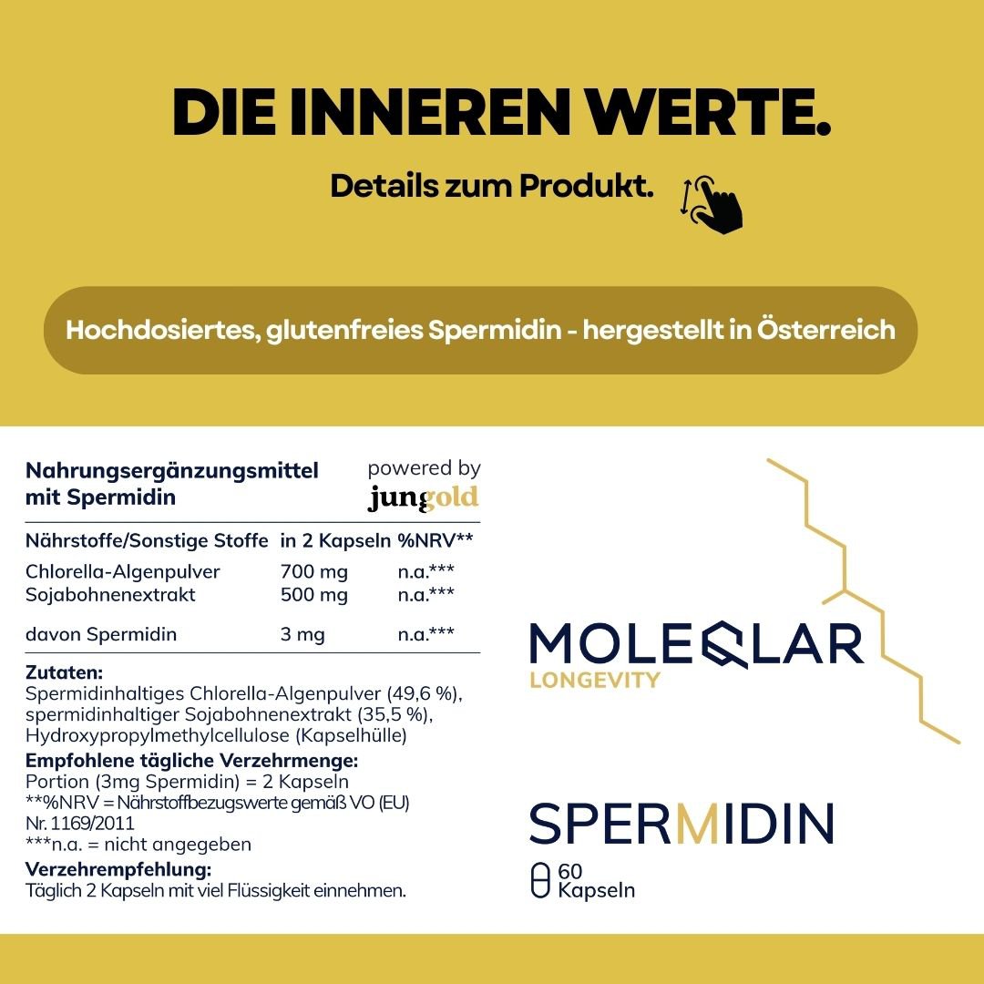 espermidina