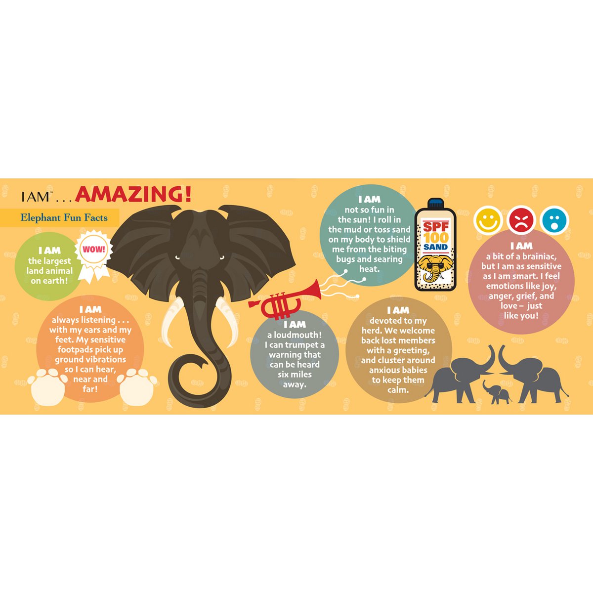 I Am Preschool - Olifant