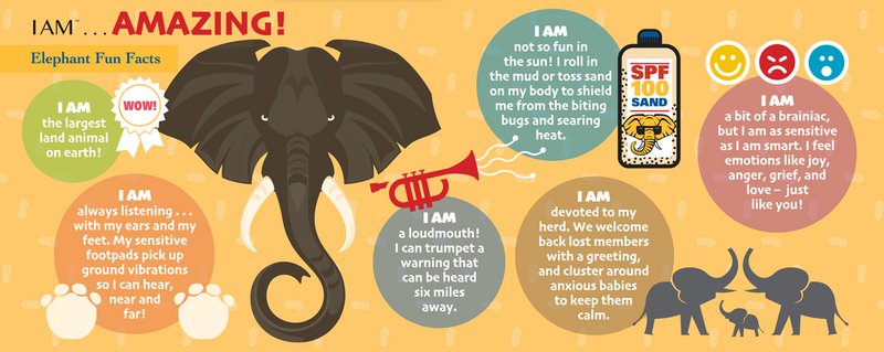 I Am Preschool - Olifant