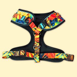 Tropical Classic Harness